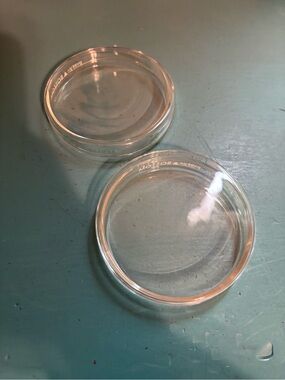 Pyrex Petri Dishes